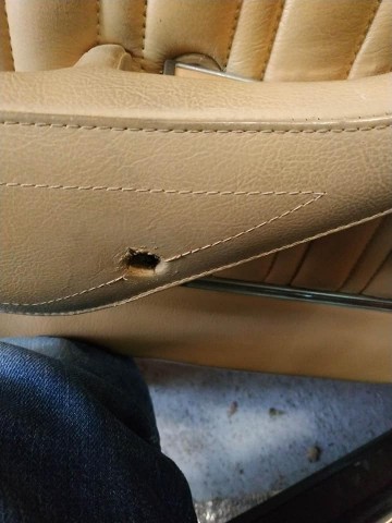 2409499754171803282917723421729213042833568n